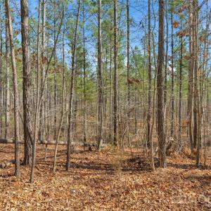 Photo #11 of Peacehaven, McConnells, SC