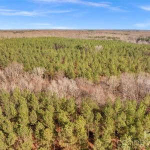 Photo #10 of Peacehaven, McConnells, SC