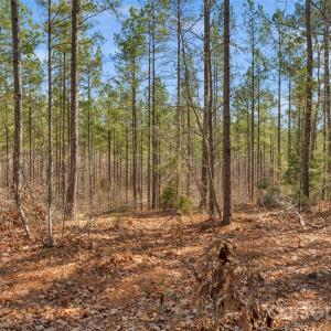 Photo #28 of Peacehaven, McConnells, SC