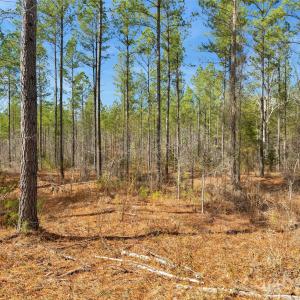 Photo #37 of Peacehaven, McConnells, SC