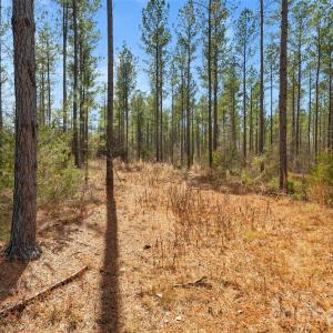 Photo #8 of Peacehaven, McConnells, SC