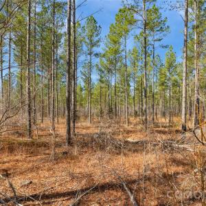 Photo #13 of Peacehaven, McConnells, SC