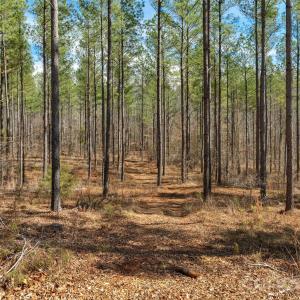 Photo #21 of Peacehaven, McConnells, SC