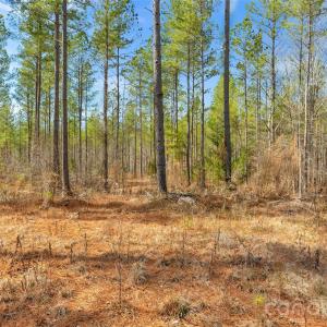 Photo #4 of Peacehaven, McConnells, SC