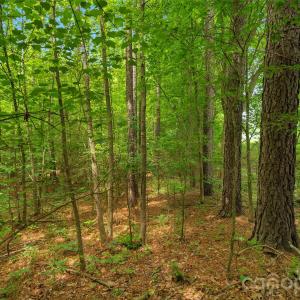 Photo #15 of Lucy Short Cut, Marshville, NC