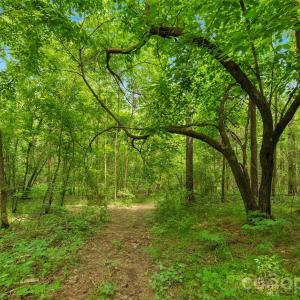 Photo #4 of Lucy Short Cut, Marshville, NC