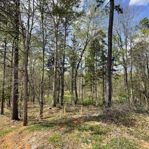 Photo #4 of 2409 Falling Leaf, Rock Hill, SC