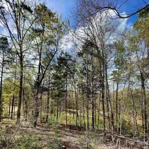 Photo #2 of 2409 Falling Leaf, Rock Hill, SC