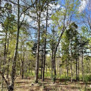 Photo #5 of 2409 Falling Leaf, Rock Hill, SC