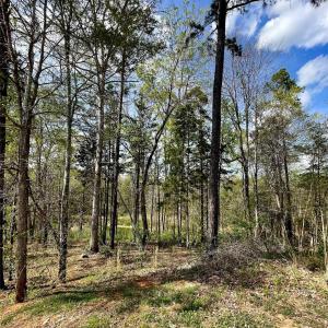 Photo #1 of 2409 Falling Leaf, Rock Hill, SC