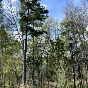 Photo #3 of 2409 Falling Leaf, Rock Hill, SC