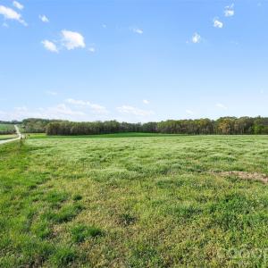 Photo #8 of White, Mt Ulla, NC