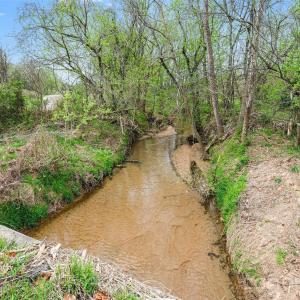 Photo #10 of White, Mt Ulla, NC