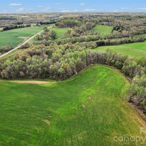 Photo #21 of White, Mt Ulla, NC