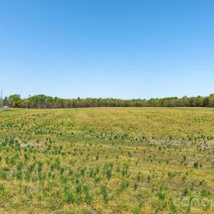 Photo #4 of Stegall, Peachland, NC