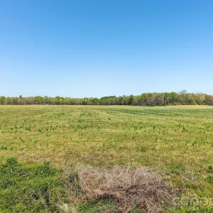 Photo #5 of Stegall, Peachland, NC