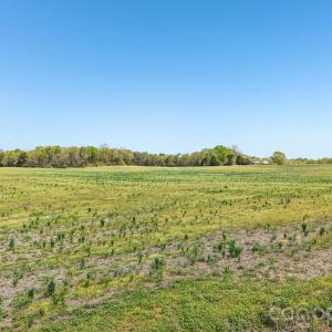 Photo #3 of Stegall, Peachland, NC