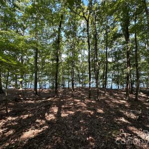 Photo #6 of 1768 Rocky Cove, Denton, NC