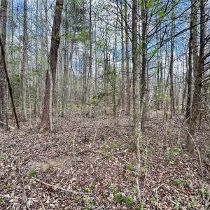 Photo #14 of 101 Autumn Leaves, Marietta, SC