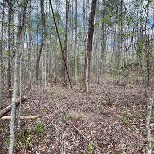 Photo #15 of 101 Autumn Leaves, Marietta, SC