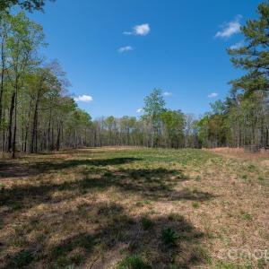 Photo #5 of 2170 Two Sisters, Van Wyck, SC