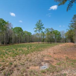 Photo #9 of 2170 Two Sisters, Van Wyck, SC