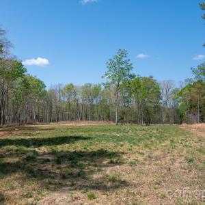 Photo #4 of 2170 Two Sisters, Van Wyck, SC