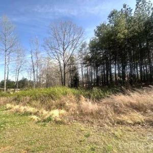 Photo #4 of 315 Grassy Ridge, Clover, SC