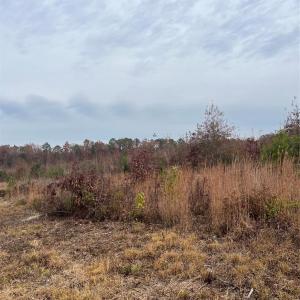 Photo #9 of TBD Wire 2, Cheraw, SC