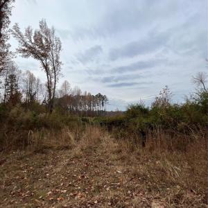 Photo #2 of TBD Wire 2, Cheraw, SC