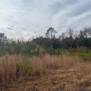 Photo #6 of TBD Wire 2, Cheraw, SC