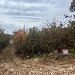 Photo #4 of TBD Wire 2, Cheraw, SC