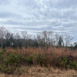 Photo #7 of TBD Wire 2, Cheraw, SC