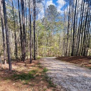 Photo #5 of Peden Bridge, Chester, SC