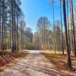 Photo #1 of Peden Bridge, Chester, SC