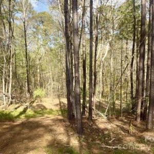 Photo #9 of Peden Bridge, Chester, SC
