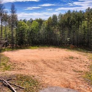 Photo #12 of Peden Bridge, Chester, SC