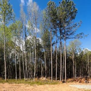 Photo #10 of Peden Bridge, Chester, SC