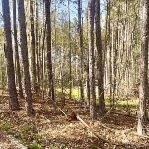 Photo #6 of Peden Bridge, Chester, SC