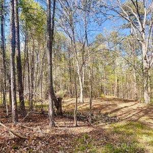 Photo #7 of Peden Bridge, Chester, SC