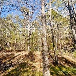 Photo #8 of Peden Bridge, Chester, SC