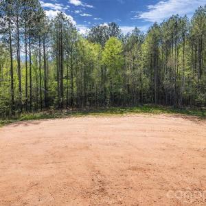 Photo #11 of Peden Bridge, Chester, SC