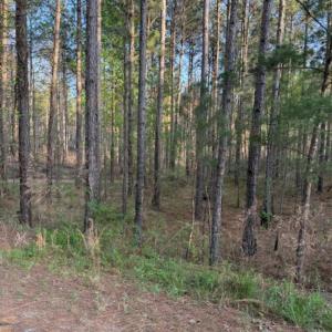 Photo #3 of Clark Mountain, Lilesville, NC