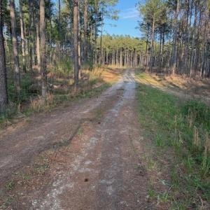 Photo #2 of Clark Mountain, Lilesville, NC