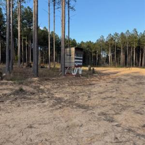 Photo #12 of Clark Mountain, Lilesville, NC