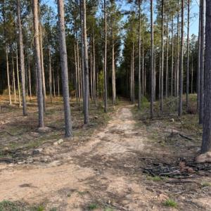 Photo #10 of Clark Mountain, Lilesville, NC