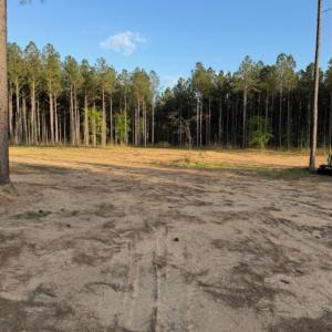 Photo #7 of Clark Mountain, Lilesville, NC