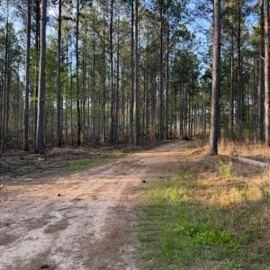 Photo #5 of Clark Mountain, Lilesville, NC