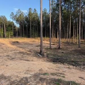 Photo #11 of Clark Mountain, Lilesville, NC