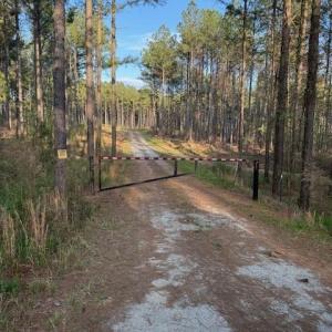 Photo #1 of Clark Mountain, Lilesville, NC